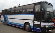автобус5